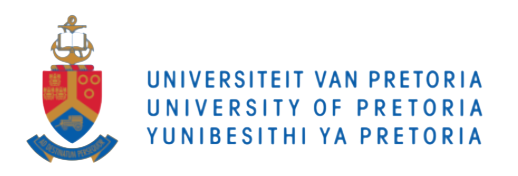 University-of-Pretoria